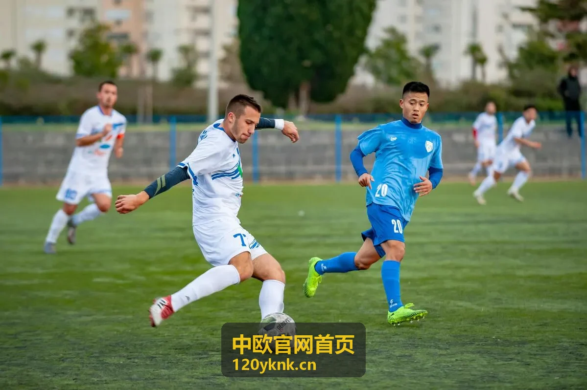 中欧官网首页 - 中欧班列物流与贸易对接平台