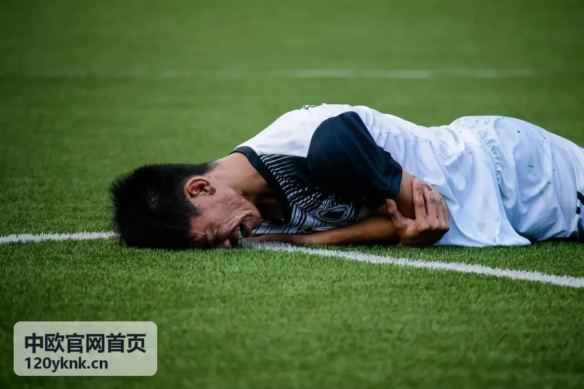 中欧贸易对接服务 - 中欧官网首页