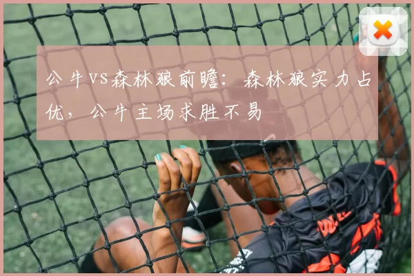 公牛vs森林狼前瞻：森林狼实力占优，公牛主场求胜不易