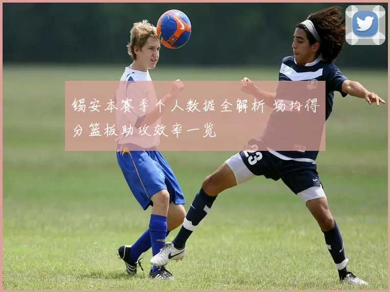 锡安本赛季个人数据全解析 场均得分篮板助攻效率一览