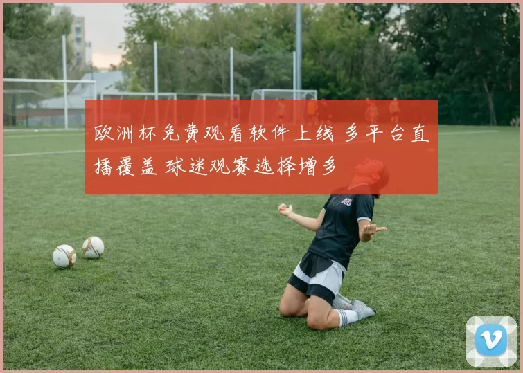 欧洲杯免费观看软件上线 多平台直播覆盖 球迷观赛选择增多