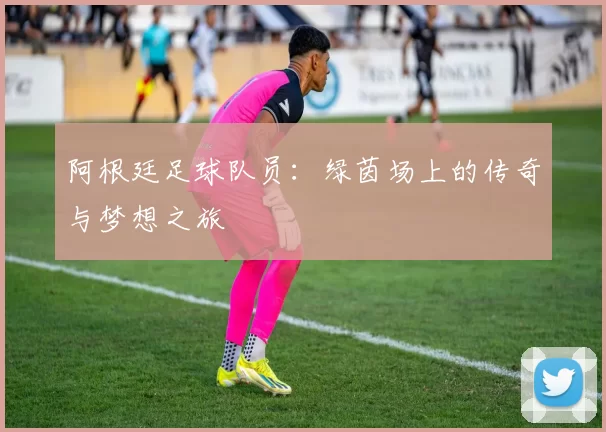 阿根廷足球队员:绿茵场上的传奇与梦想之旅