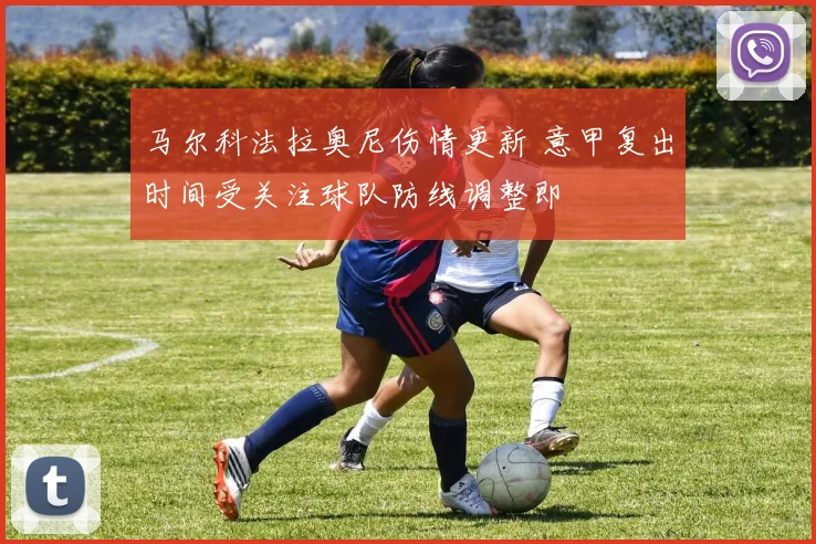 马尔科法拉奥尼伤情更新 意甲复出时间受关注球队防线调整即