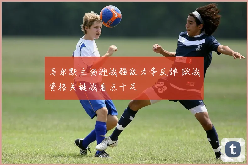 马尔默主场迎战强敌力争反弹 欧战资格关键战看点十足